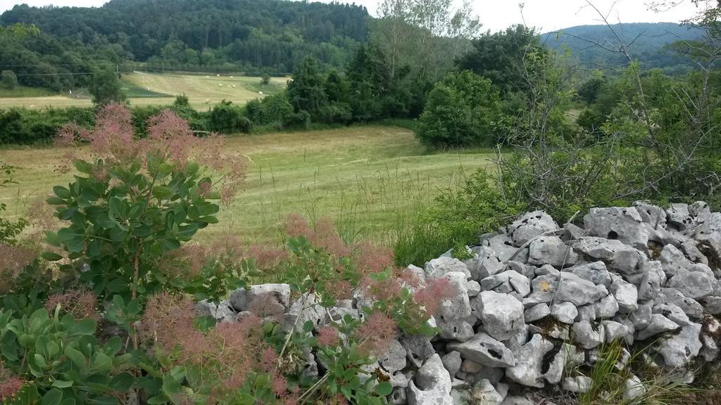 Homestead Vrbin Дивача Экстерьер фото