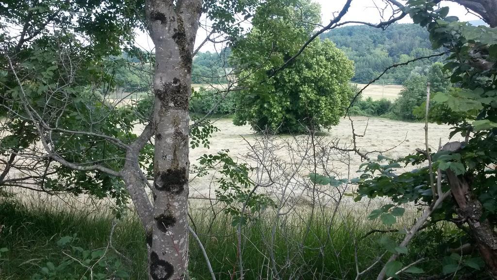 Homestead Vrbin Дивача Экстерьер фото
