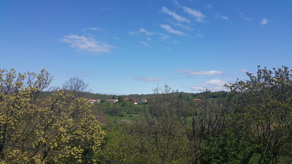 Homestead Vrbin Дивача Экстерьер фото